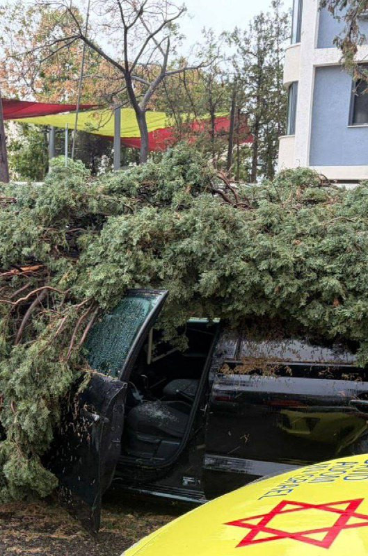 وقعت إصابات نتيجة سقوط أشجار على مركبات الإسرائيليين في روش لتسيون نتيجة قوة الرياح....