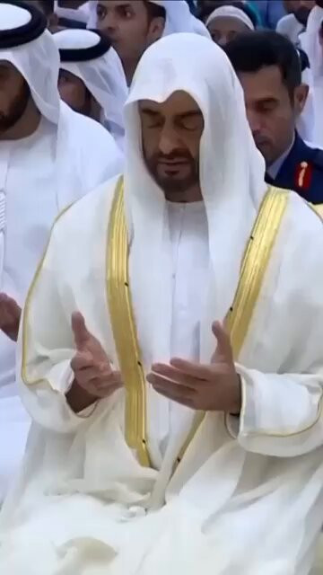 Mq8CCBK0KfktIOVt.jpg