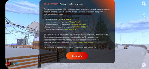 photo 2026 01 10 20 15 40.jpg