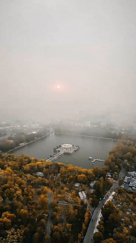 IrLZweZaQ UEhO4f.jpg