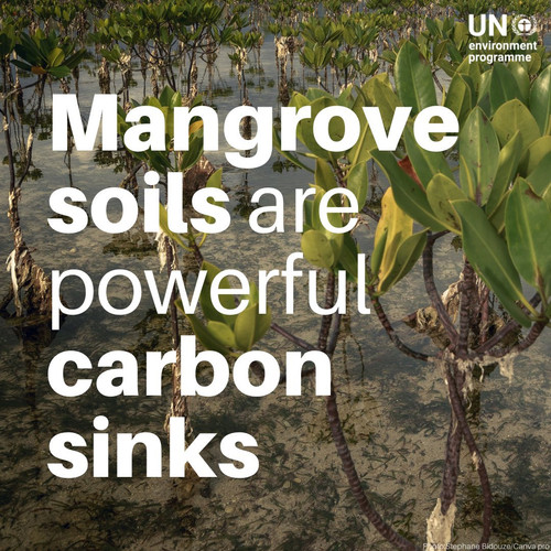 G RucsRWIAAUep7?format=jpg.jpg