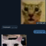 Telegram oB7M1K9mlu.png