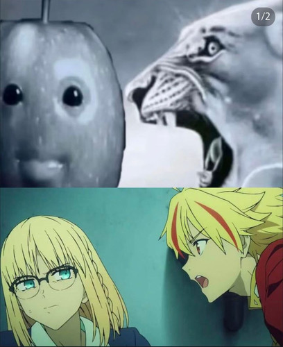 Image 2034303430475525.jpg