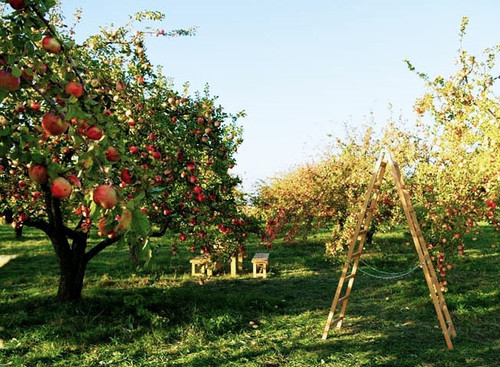 G JQ4vtXAAAM0ce?format=jpg.jpg