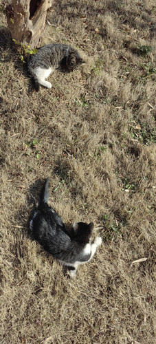 IMG 20251228 103518.jpg