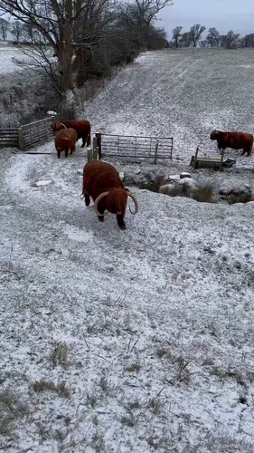 Y8f V6H wUmdya x.jpg