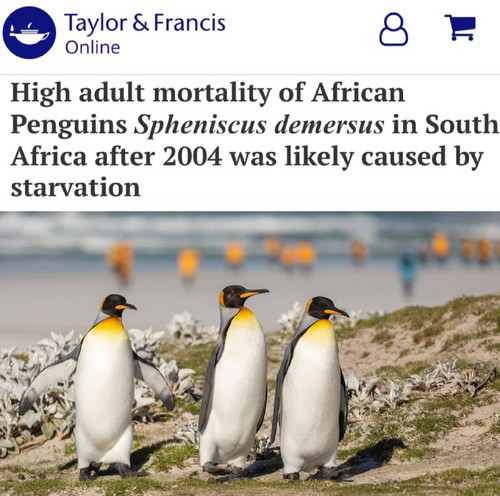 anTD1d1O4 UluHB rnZuVbgvLXz yNGzj7 Xv N3FIbM9VGtork4x1EXmI8OVNi DMHWqlIKWfnEmq7uTspc7r38TsUYADIODCu1.jpg