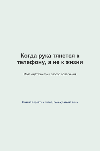 pin 41 1768027313800.png