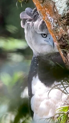 FyKMecr 5JQp50lM.jpg