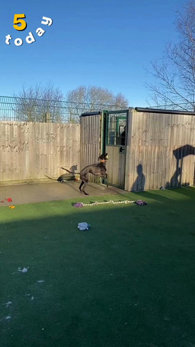 9f6J1pn I38lTk8g.jpg