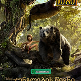 Jungle Book 2016 cover