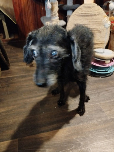 G SqjvIXAAAOBfM?format=jpg.jpg