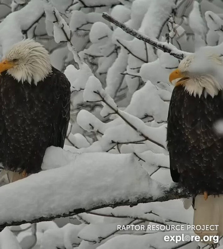 icgljA3PQIUgn4 8.jpg