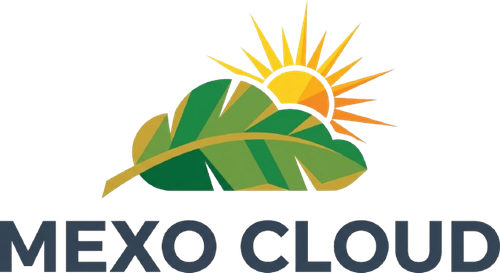 davinci logo for mexo cloud use banana leaf and sun as th removebg preview.png