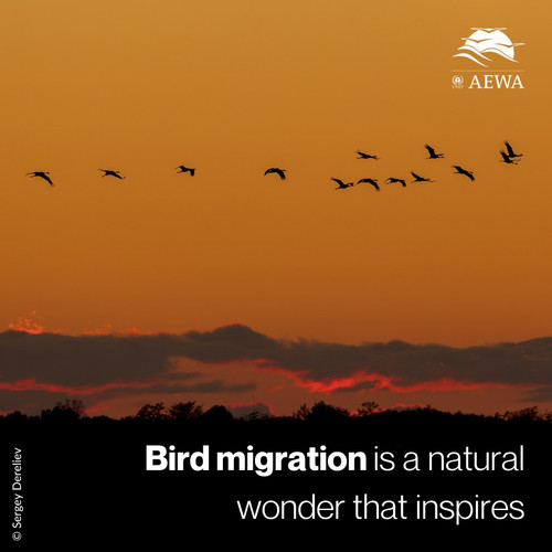 G S3rPoWYAEjqpY?format=jpg.jpg