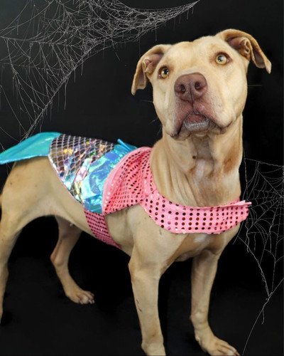 G RC3gWW0AAQgJi?format=jpg.jpg