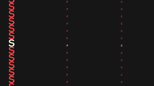 rs8sl8fxeVIrlV z.jpg