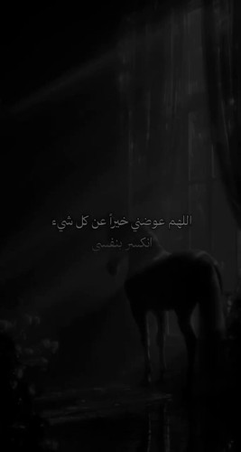 L8CW6HlkMJN3s So.jpg