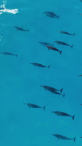 Ma24koJS1 ajKkqs.jpg