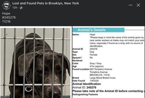 G RzDHdWwAAyjdj?format=jpg.jpg