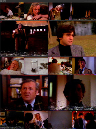 Bese77ssen.mp4 VHS.jpg