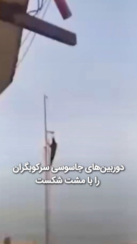 VL1uSXB495 E87y8.jpg