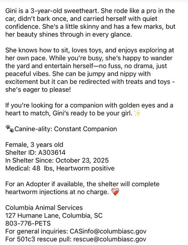 G RC3gWWEAADPKc?format=jpg.jpg