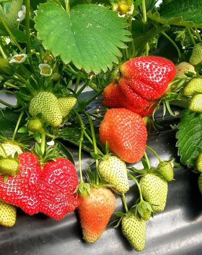 81PxkNcqzLL. SL1500 .jpg