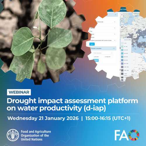 G O1E6QXcAAZxpe?format=jpg.jpg