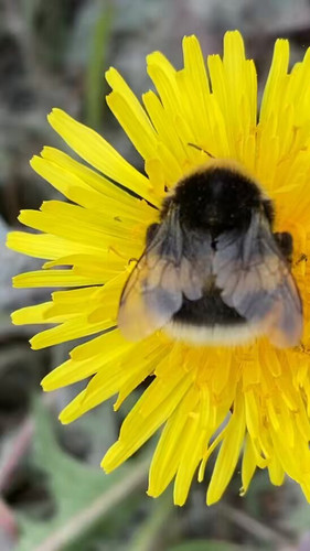 MOgO5g0XZafalR z.jpg