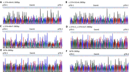 G PaAzzW4AE9q7b?format=jpg.jpg