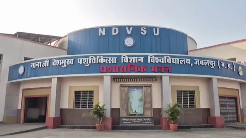 1ozMJYABO UvLPDz.jpg