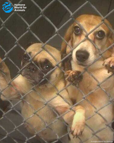 G O8ieYbwAALUog?format=jpg.jpg