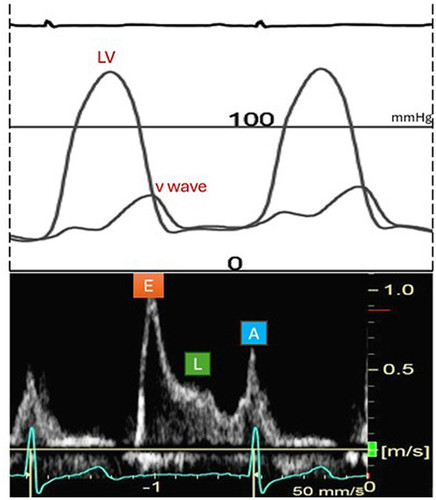 G OXVCfWcAAbYEA?format=jpg.jpg