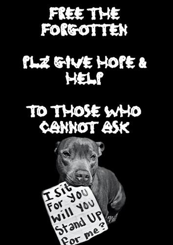 G Q5 2FWIAAQly3?format=jpg.jpg