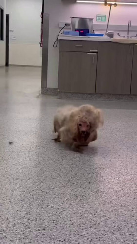 j7IBgtM2 2aPgRke.jpg