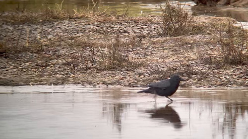 8uATm0i 3zD9d iW.jpg