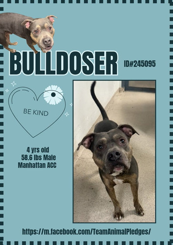 G OyK61WEAANXCO?format=jpg.jpg