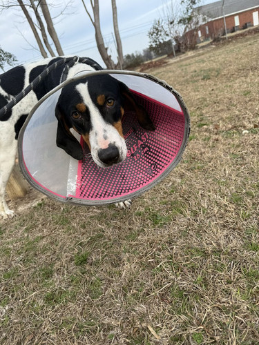 G PfmQBWQAA0eeb?format=jpg.jpg