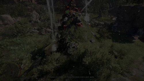 XT03OkWa zOdBDs1.jpg