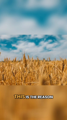 5QBPtxT5yHK YK7h.jpg