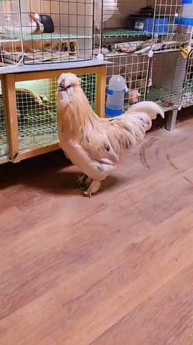 pmCwZJxfdSwGhT5F.jpg