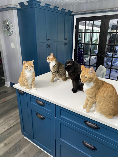 613675314 1506945850791081 7518001758992334573 n.jpg