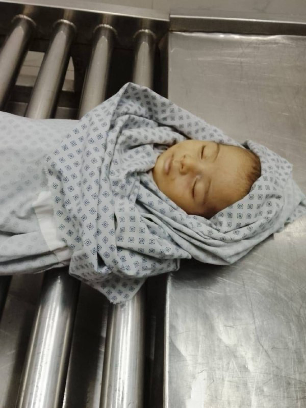 توفي الطفل محمد وسام أبو هربيد، البالغ من العمر شهرين، في مدينة غزة فجر اليوم نتيجة البرد الشديد....