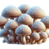 FrostedBeginnings mushrooms4