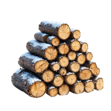 WinterWhispers logs1