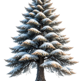 WinterWhispers tree4