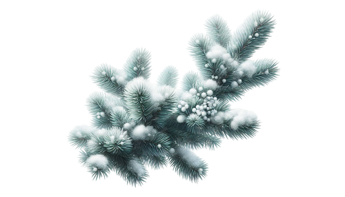 WinterWhispers pinebranches1.png