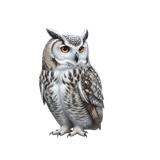 WinterWhispers owl1