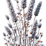 WinterWhispers flowers39